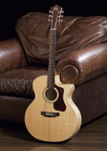 Guild F-50CE Standard 