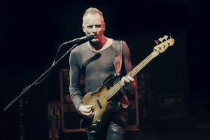 Sting d:facto