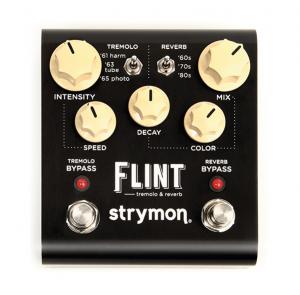 Strymon Flint top