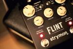 Strymon Flint detail